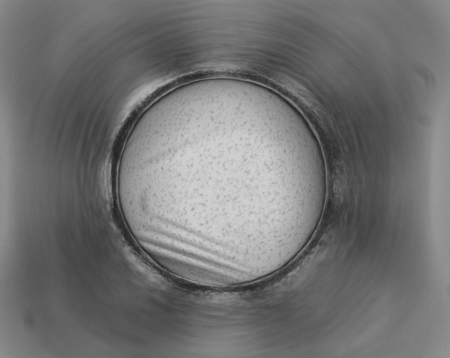 X0000113261030200910011403