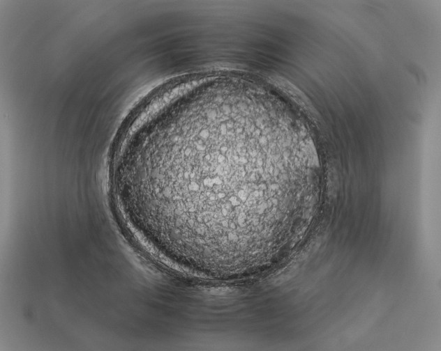 X0000113261031200910011403