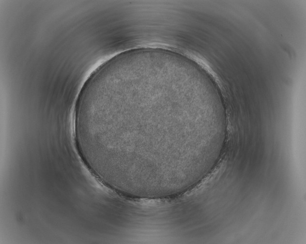 X0000113261032200910011403