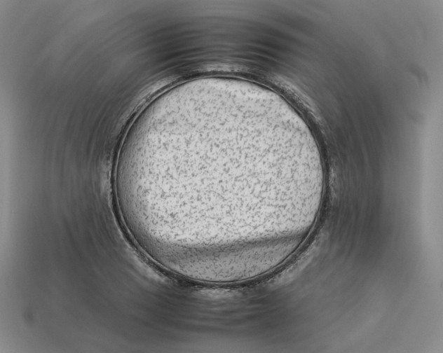 X0000113261033200910011403