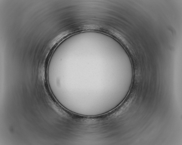 X0000113261034200910011403