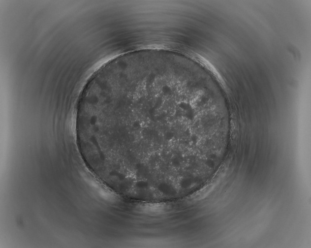 X0000113261035200910011403