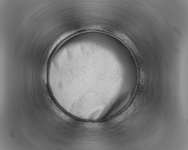 X0000113261036200910011403