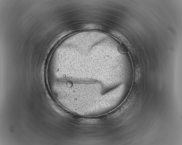 X0000113261039200910011403