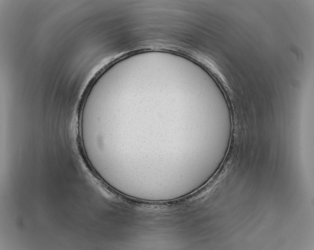 X0000113261040200910011403