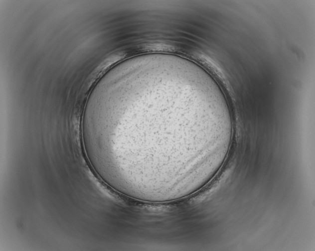 X0000113261041200910011403