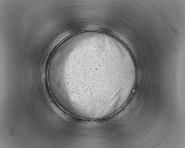 X0000113261042200910011403