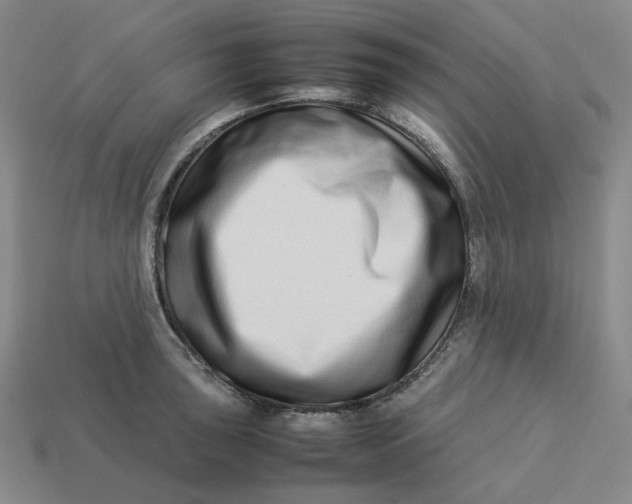 X0000113261043200910011403