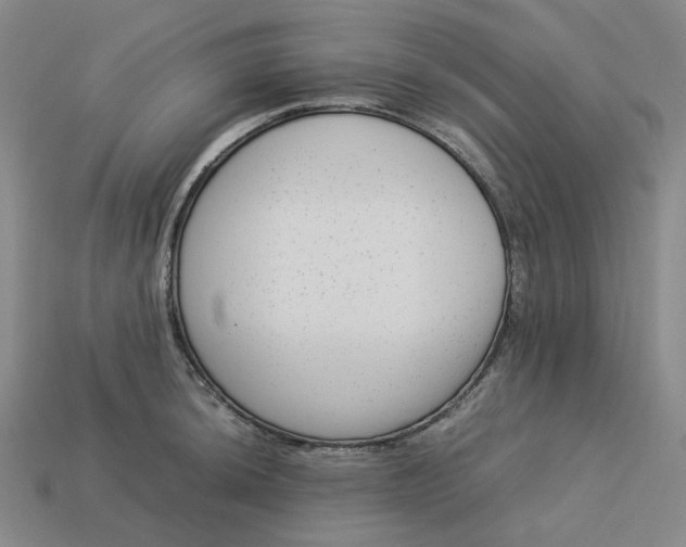 X0000113261044200910011403