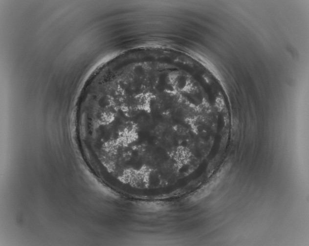 X0000113261045200910011403