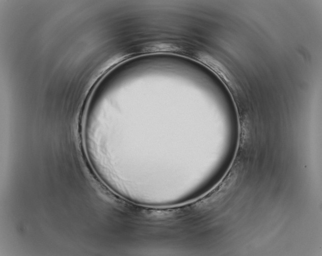 X0000113261047200910011403