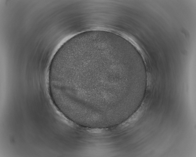 X0000113261048200910011403