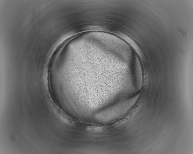 X0000113261051200910011403