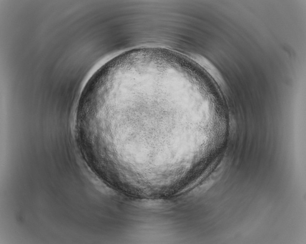 X0000113261052200910011403