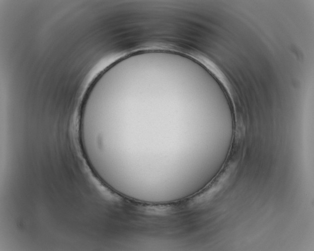 X0000113261053200910011403