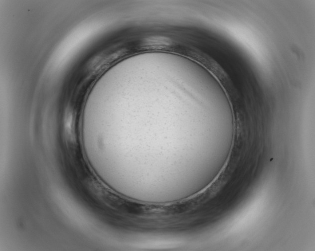 X0000113261054200910011403