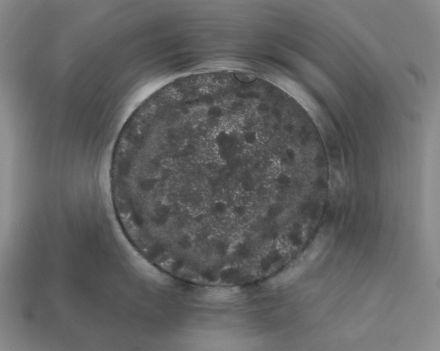 X0000113261055200910011403