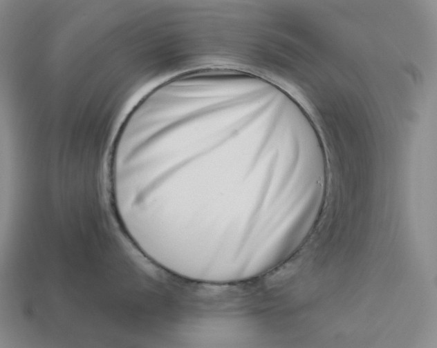 X0000113261056200910011403