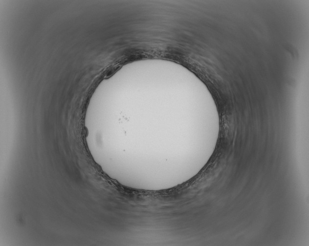 X0000113261057200910011403