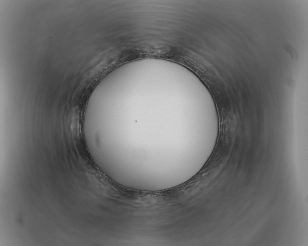 X0000113261058200910011403