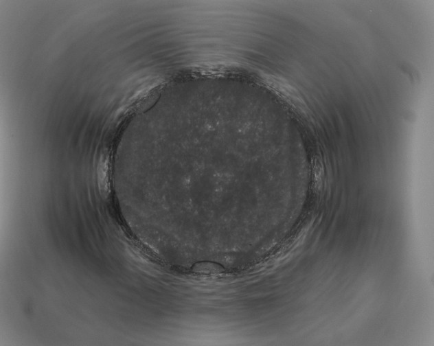 X0000113261060200910011403