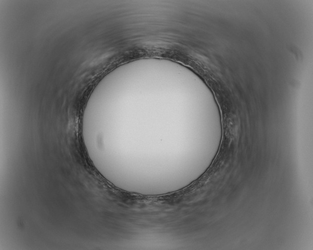 X0000113261061200910011403