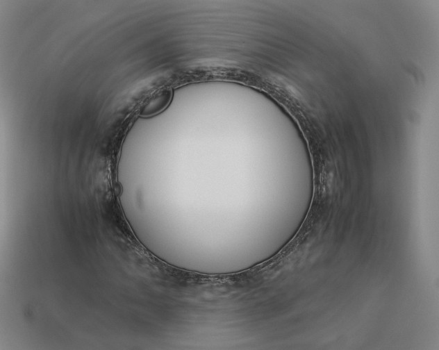 X0000113261062200910011403