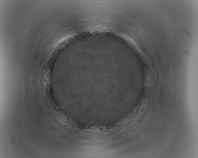 X0000113261063200910011403