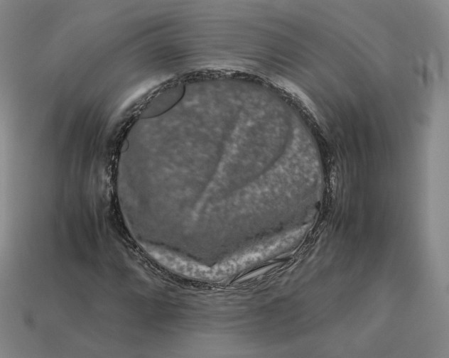 X0000113261064200910011403