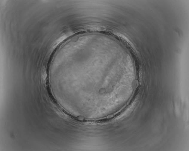 X0000113261065200910011403