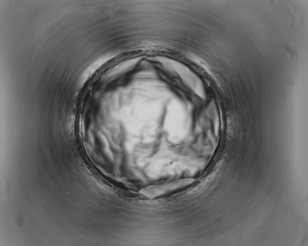 X0000113261066200910011403