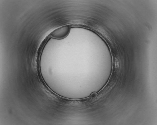 X0000113261068200910011403