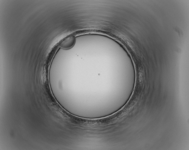 X0000113261069200910011402