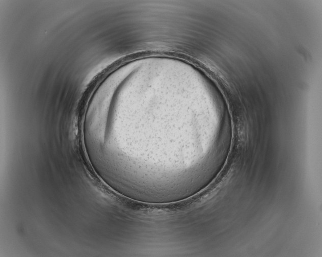 X0000113261070200910011402