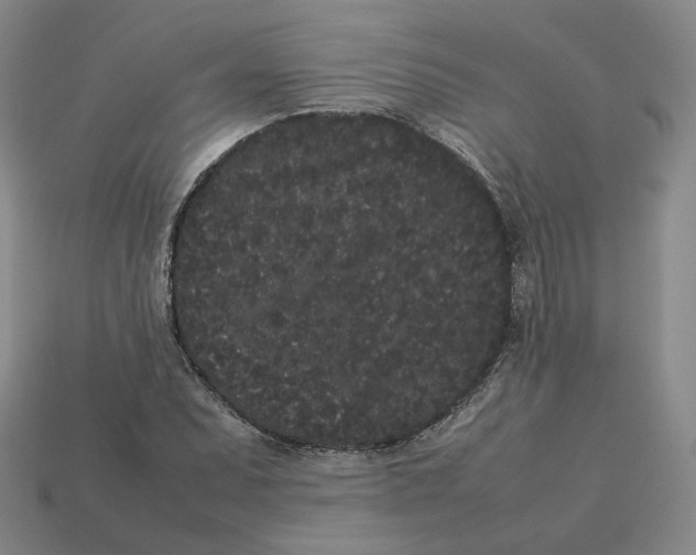 X0000113261071200910011402