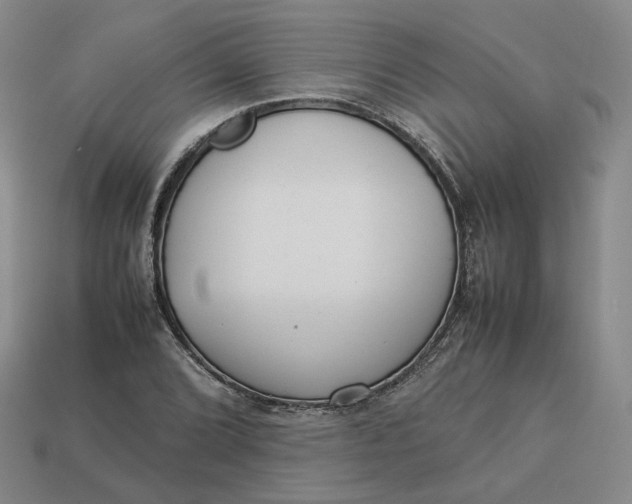 X0000113261072200910011402