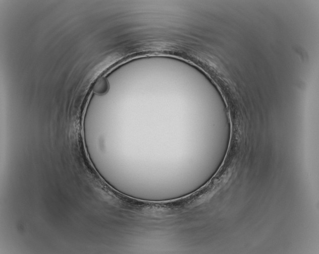 X0000113261073200910011402