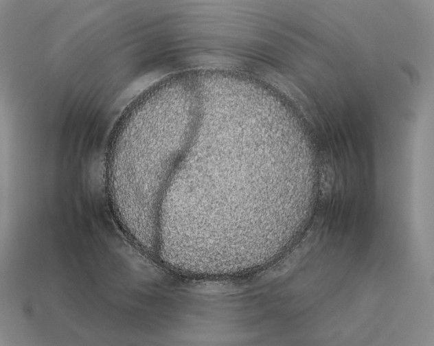 X0000113261074200910011402