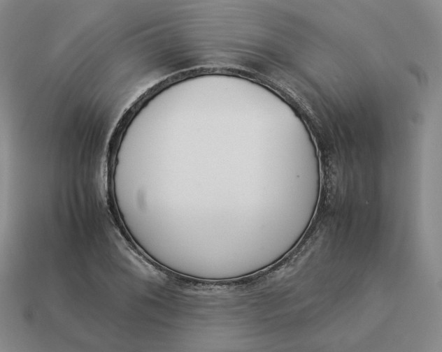 X0000113261076200910011402