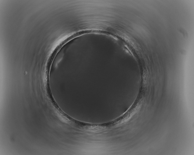 X0000113261077200910011402