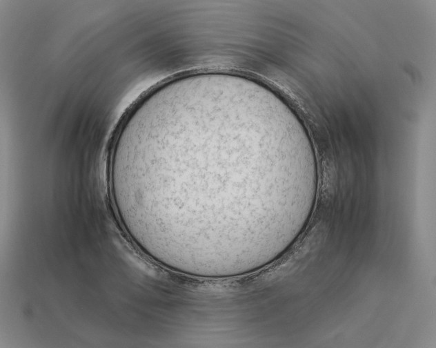 X0000113261078200910011402