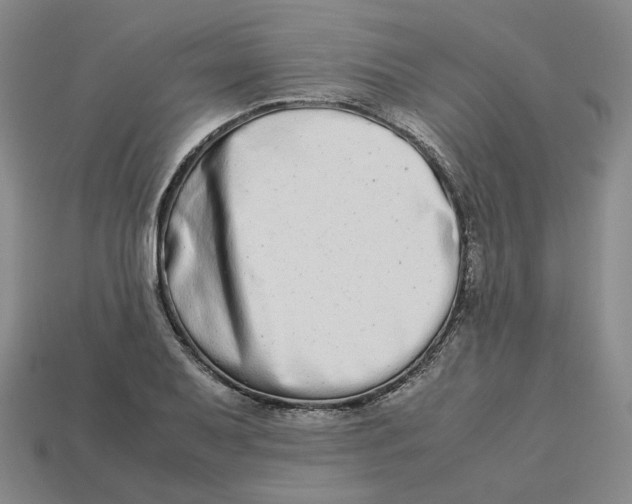 X0000113261079200910011402