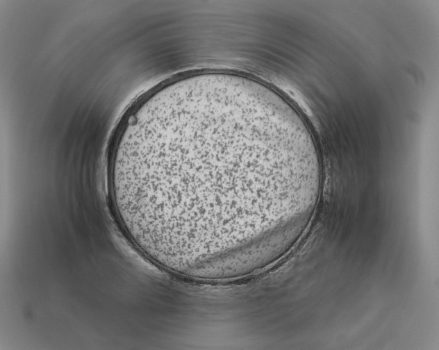 X0000113261080200910011402