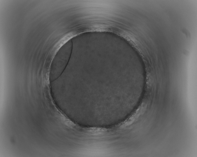 X0000113261081200910011402