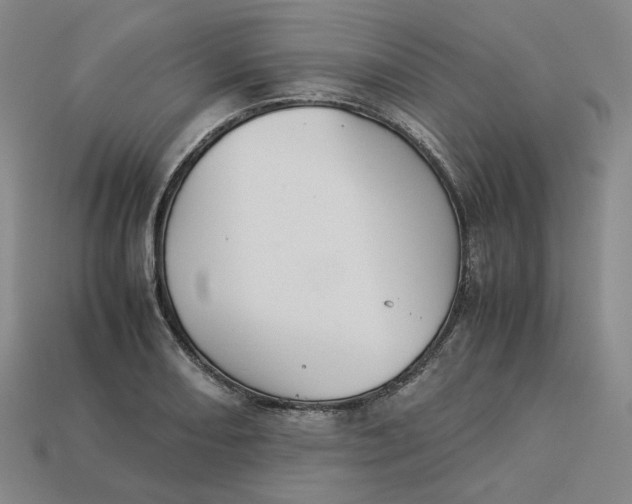 X0000113261082200910011402