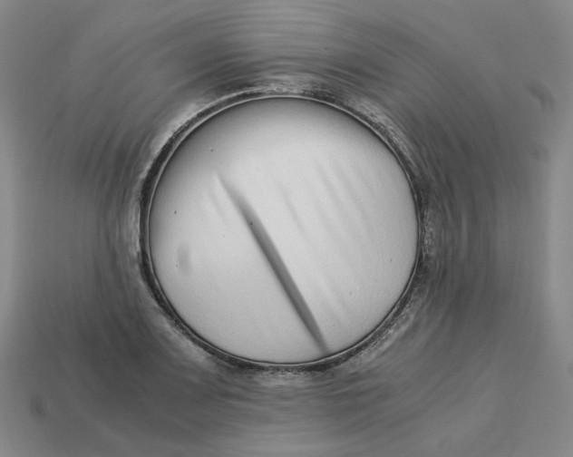 X0000113261083200910011402