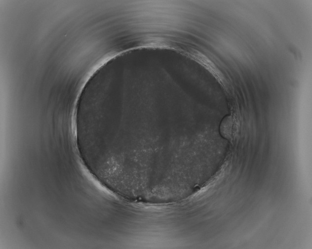 X0000113261084200910011402