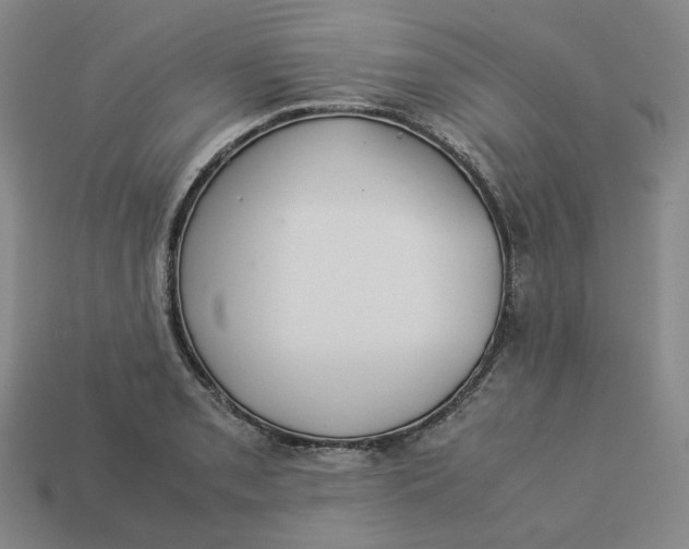 X0000113261085200910011402