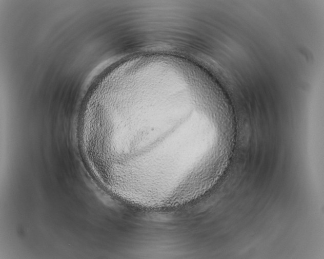 X0000113261086200910011402