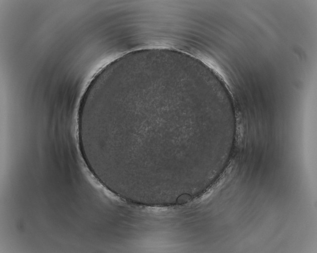 X0000113261088200910011402